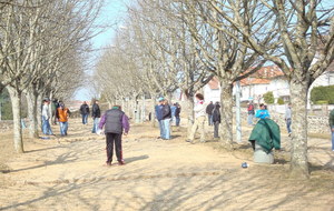 1ER CONCOURS DE LA BOULE AREDIENNE 
