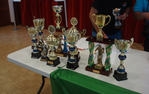 RECOMPENSES INTERCLUBS
RAZZIA POUR LA BOULE AREDIENNE