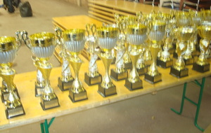 LES TROPHEES