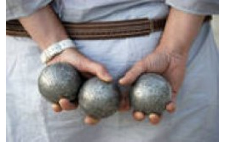 Bienvenue sur le site de la boule aredienne 