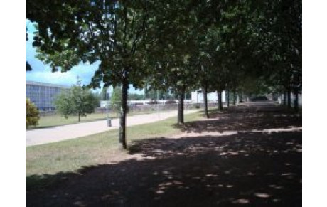 CONCOURS VETERANS FFPJP