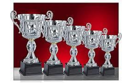 RECOMPENSES DE LA MUNICIPALITE