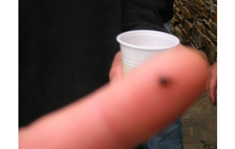 AVANT-PREMIERE DE LA COUPE DU PRESIDENT,  